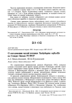 О гнездовании малой поганки Tachybaptus ruficollis на северо-западе РСФСР