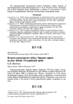 Встреча красноногого ибиса Nipponia nippon на реке Бикин (Уссурийский край)