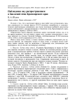Наблюдения над распространением и биологией птиц Красноярского края