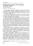 Наблюдения над стерхами Grus leucogeranus на зимовке в Индии