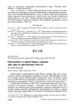 Наблюдения за парой чёрных стрижей Apus apus на протяжении семи лет