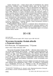 Мухоловка-белошейка Ficedula albicollis в Рязанской области