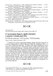 О гнездовании беркута Aquila chrysaetos в среднем течении реки Или
