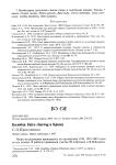 Балобан Falco cherrug в Крыму