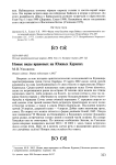 Новые виды врановых на Южных Курилах