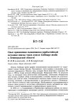 Опыт применения скандинавско-прибалтийской методики поиска токов дупеля Gallinago media в Ленинградской области