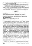 Экология пестроносой крачки Thalasseus sandvicensis на границе ареала