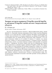 Зимние встречи вьюрков Fringilla montifringilla и зябликов Fringilla coelebs на юге Свердловской области