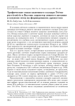 Трофические связи каменного глухаря Tetrao parvirostris в Якутии: характер зимнего питания и влияние птиц на формирование древостоев