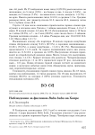 Наблюдения за филином Bubo bubo на Хопре
