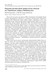 Находка реликтовой чайки Larus relictus на Торейских озёрах (Забайкалье)