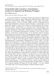 О наличии трёх кладок у скотоцерки Scotocerca inquieta на Южном Устюрте