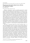 Находка реликтовой чайки Larus relictus на Торейских озёрах