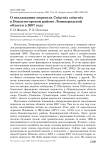 О гнездовании перепела Coturnix coturnix в Бокситогорском районе Ленинградской области в 2007 году