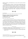 Встреча стерха Grus leucogeranus в приобской лесотундре