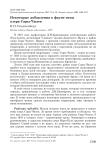Некоторые добавления к фауне птиц озера Сары-Чилек
