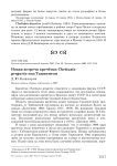 Новая встреча кречётки Chettusia gregaria под Ташкентом