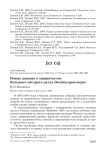 Новые данные о хищничестве большого пёстрого дятла Dendrocopos major
