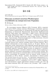 Находка зелёной пеночки Phylloscopus trochiloides на северо-востоке Украины