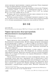 Чирок-трескунок Anas querquedula Иваньковского водохранилища