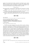 О гнездовании белого аиста Ciconia ciconia в Липецкой области