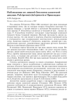 Наблюдения по зимней биологии азиатской дикуши Falcipennis falcipennis в Приамурье