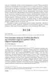 Гнездование пищухи Certhia familiaris на северных отрогах хребта Сабли (Приполярный Урал)