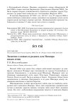 Заметки о новых и редких для Памира видах птиц