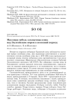 Массовая гибель сухопутных птиц над Балтийским морем в весенний период