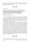 Новое нахождение азиатского бекасовидного веретенника Limnodromus semipalmatus в долине среднего течения Сырдарьи