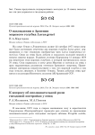 О нахождении в Армении морского голубка Larus genei