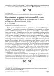 Гнездование кудрявого пеликана Pelecanus crispus в дельте Урала и у северо-восточного побережья Каспийского моря