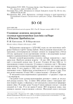 Сезонные аспекты экологии соловья-красношейки Luscinia calliope в Южном Прибайкалье