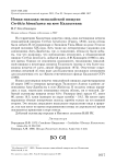 Новая находка гималайской пищухи Certhia himalayna на юге Казахстана