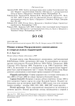 Новые птицы Наурзумского заповедника и сопредельных территорий