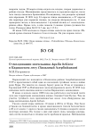 О гнездовании могильника Aquila heliaca в Караязском лесу (Западный Азербайджан)