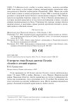 О встрече стаи белых аистов Ciconia ciconia в летний период