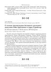 О летних нахождениях большого скального поползня Sitta tephronota в горах Турайгыр