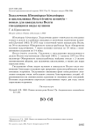 Ходулочник Himantopus himantopus и шилоклювка Recurvirostra avosetta - новые для авандельты Волги гнездящиеся виды куликов