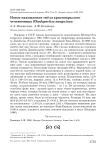 Новое нахождение гнёзд краснокрылого чечевичника Rhodopechys sanguinea Новое нахождение гнёзд краснокрылого чечевичника Rhodopechys sanguinea