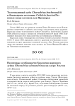 Некоторые особенности биологии морского зуйка Charadrius alexandrinus на озере Эльтон