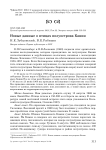 Новые данные о птицах полуострова Канин