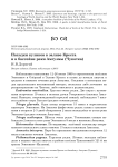 Находки куликов в заливе Креста и в бассейне реки Амгуэмы (Чукотка)