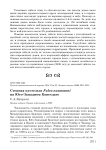 Степная пустельга Falco naumanni на Юго-Западном Копетдаге