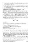 О новых и редких видах птиц в Приокско-Террасном заповеднике