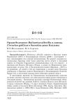 Орлан-белохвост Haliaeetus albicilla и змееяд Circaetus gallicus в бассейне реки Клязьмы