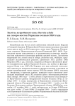 Залёты ястребиной совы Surnia ulula на северо-восток Украины осенью 2010 года