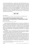 Азиатский бекасовидный веретенник Limnodromus semipalmatus в Приморском крае
