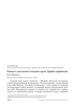Новое в экологии степного орла Aquila nipalensis Новое в экологии степного орла Aquila nipalensis