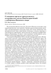 О северном пределе ареала малого острокрылого дятла Dendrocopos kizuki у побережья Японского моря